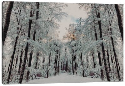 Sunset In The Winter Forest Canvas Art Print - Snowscape Art