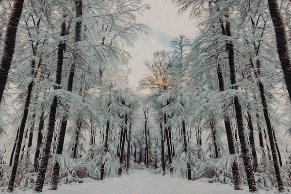 Rustic Winter: Sunset In The Winter Forest by Ievgeniia Bidiuk
