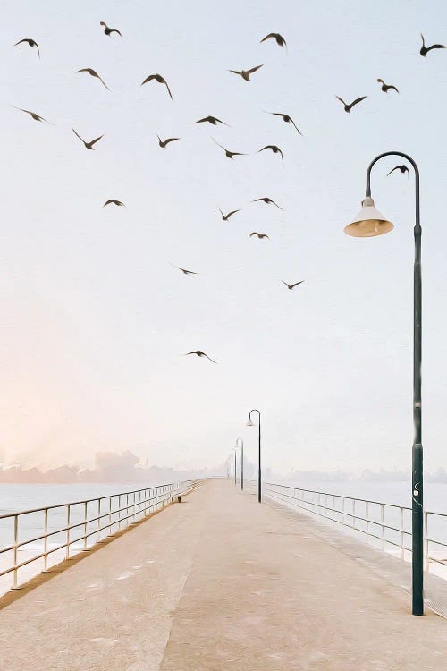 Birds Over The Pier With Lanterns