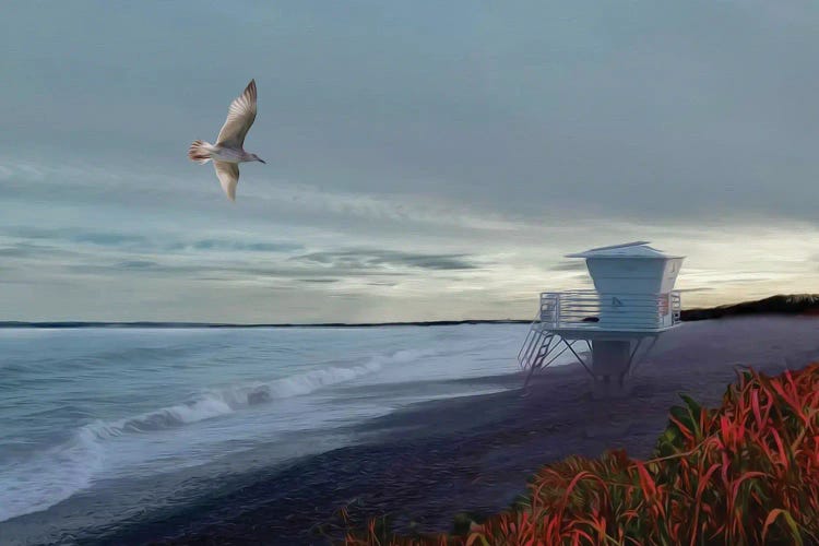 Rescue Booth On The Pacific Coast by Ievgeniia Bidiuk wall art