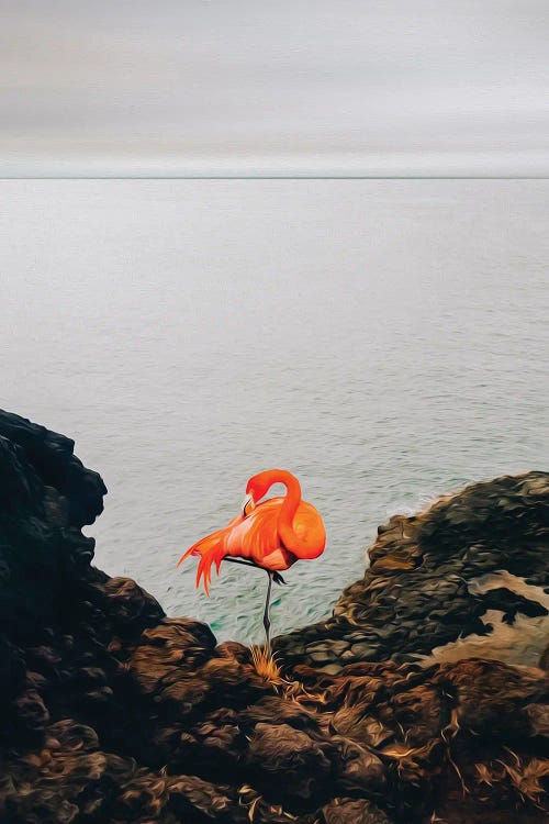 Flamingos On A Rocky Shore