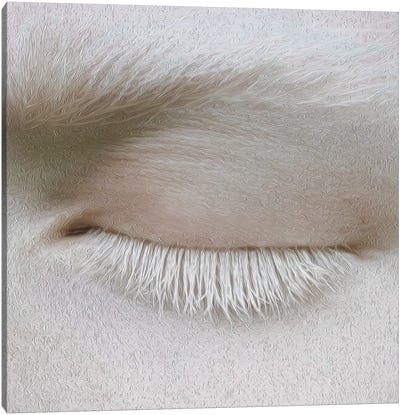 Albino Eye Canvas Art Print - Ievgeniia Bidiuk