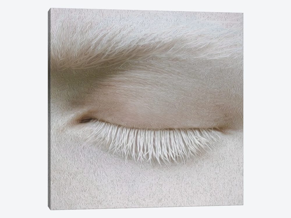 Albino Eye by Ievgeniia Bidiuk 1-piece Canvas Print