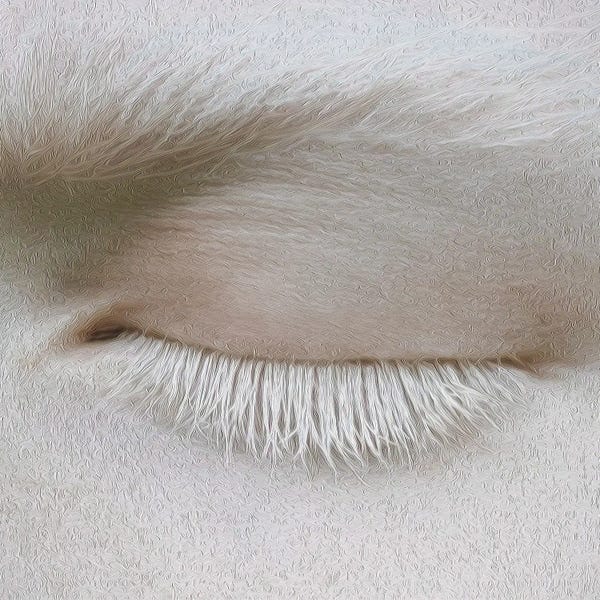 Ievgeniia Bidiuk: Albino Eye by Ievgeniia Bidiuk