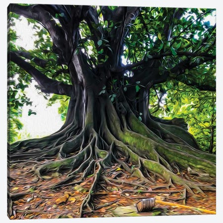 A Large Tree With Branchy Roots Canvas Print #IVG153} by Ievgeniia Bidiuk Canvas Artwork