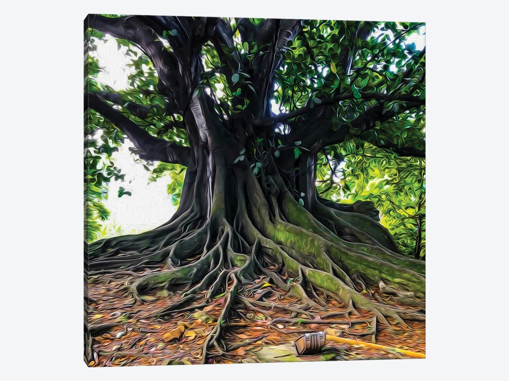 A Large Tree With Branchy Roots by Ievgeniia Bidiuk 1-piece Canvas Print