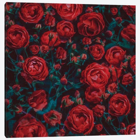 Red Roses Canvas Print #IVG154} by Ievgeniia Bidiuk Canvas Art Print