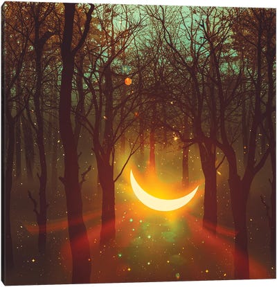 The Moon Among The Trees Fell From The Sky Canvas Art Print - Crescent Moon Art