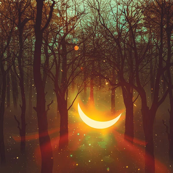 Ievgeniia Bidiuk: The Moon Among The Trees Fell From The Sky by Ievgeniia Bidiuk