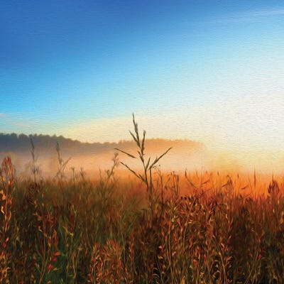 Orange Sunrise In The Meadow by Ievgeniia Bidiuk canvas print