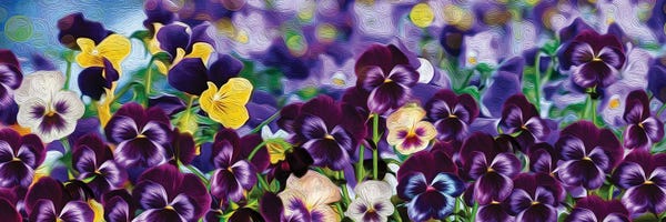 Ievgeniia Bidiuk: Pansies by Ievgeniia Bidiuk
