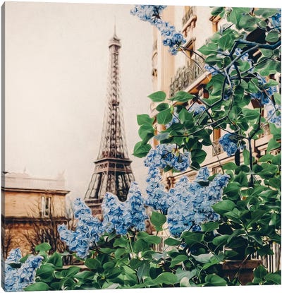 Blooming Lilacs Of Of Paris Canvas Art Print - The Eiffel Tower