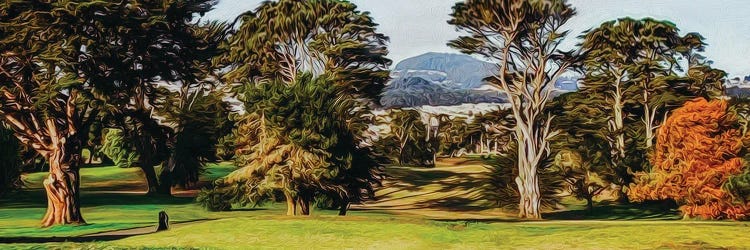 Lincoln Park San Francisco by Ievgeniia Bidiuk wall art