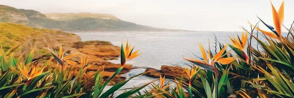 Ievgeniia Bidiuk: Blooming Strelitzia By The Ocean by Ievgeniia Bidiuk
