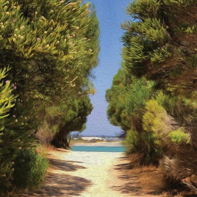 Path To The Beach Through The Bushes by Ievgeniia Bidiuk canvas print
