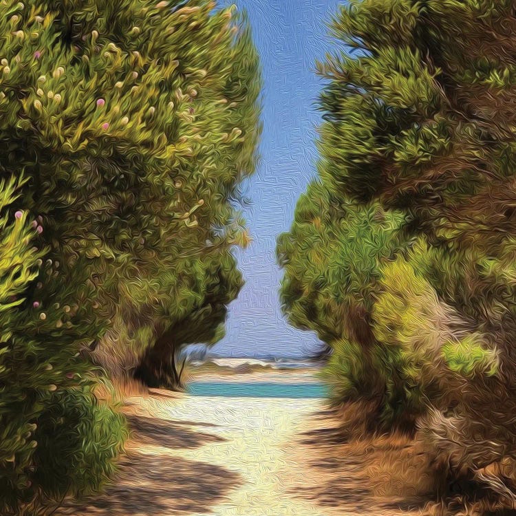 Path To The Beach Through The Bushes