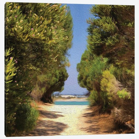 Path To The Beach Through The Bushes Canvas Print #IVG165} by Ievgeniia Bidiuk Canvas Wall Art