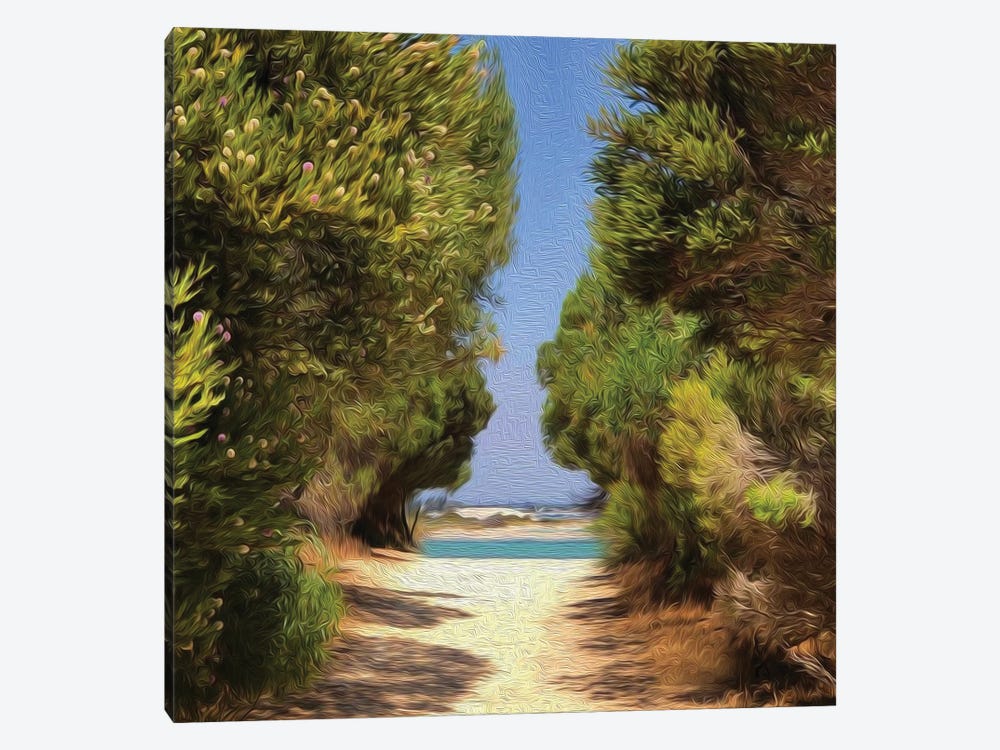 Path To The Beach Through The Bushes by Ievgeniia Bidiuk 1-piece Canvas Art
