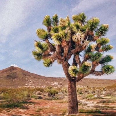 A Tree In The Mojave Desert by Ievgeniia Bidiuk framed wall art