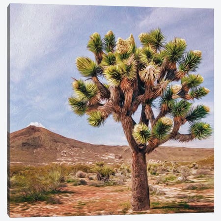 A Tree In The Mojave Desert Canvas Print #IVG175} by Ievgeniia Bidiuk Canvas Print