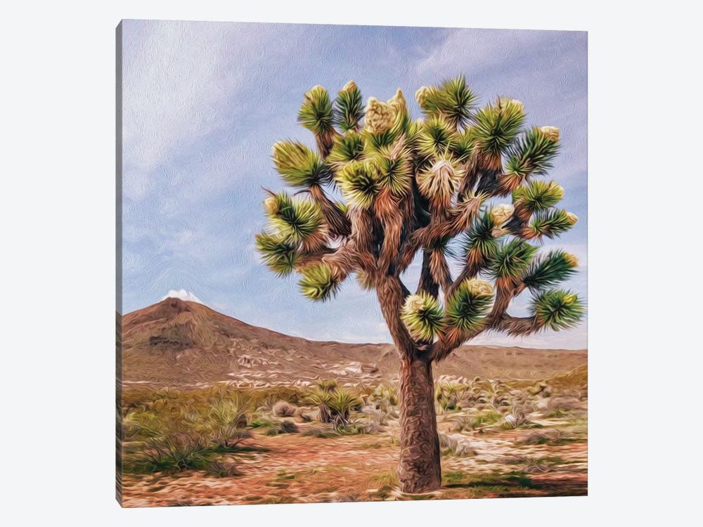 A Tree In The Mojave Desert by Ievgeniia Bidiuk 1-piece Canvas Print