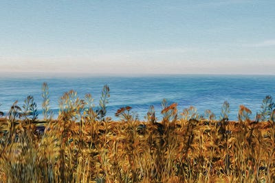 Steppe And Mountain Grass by Ievgeniia Bidiuk canvas print