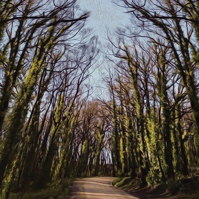 Trees Along The Road by Ievgeniia Bidiuk canvas print