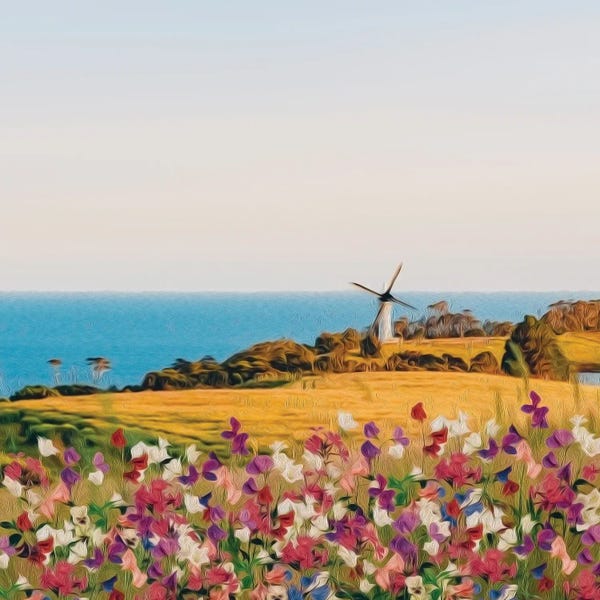 Watermills & Windmills: Blooming Meadow by Ievgeniia Bidiuk