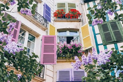 Blooming Lilacs by Ievgeniia Bidiuk acrylic art print