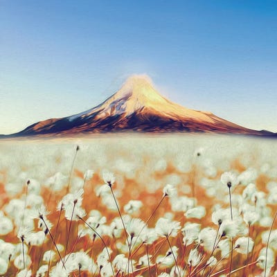 Blooming Cotton by Ievgeniia Bidiuk framed wall art