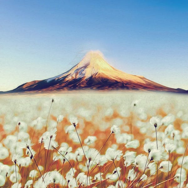 Ievgeniia Bidiuk: Blooming Cotton by Ievgeniia Bidiuk