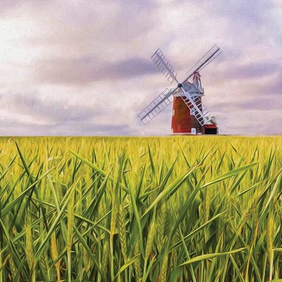 The Mill by Ievgeniia Bidiuk art print