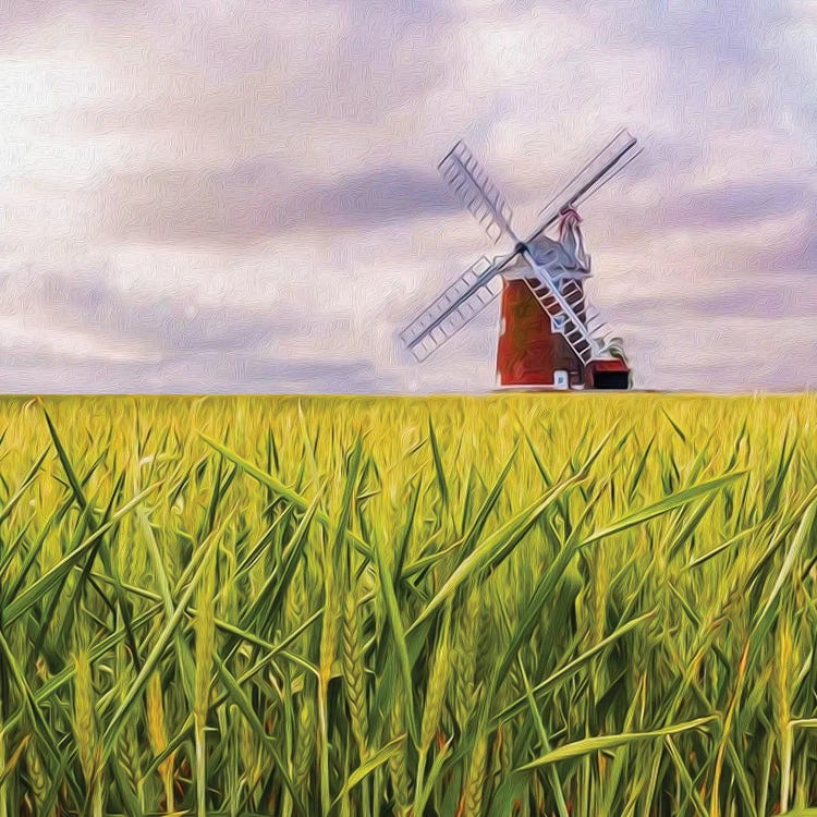 The Mill by Ievgeniia Bidiuk wall art