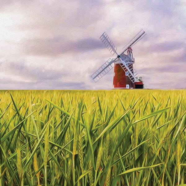 Watermills & Windmills: The Mill by Ievgeniia Bidiuk