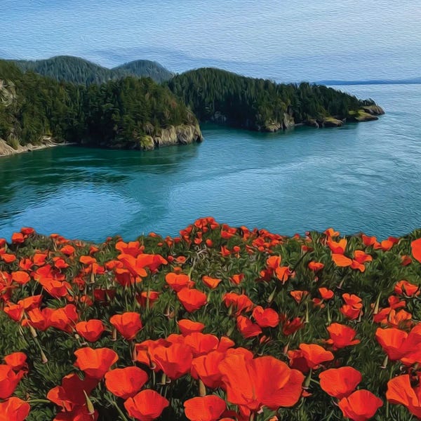 Ievgeniia Bidiuk: Blooming Poppies Against by Ievgeniia Bidiuk