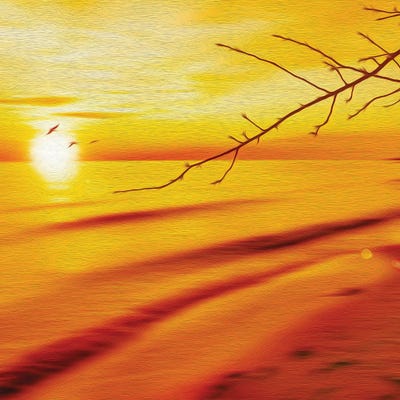 The First Sun by Ievgeniia Bidiuk canvas print