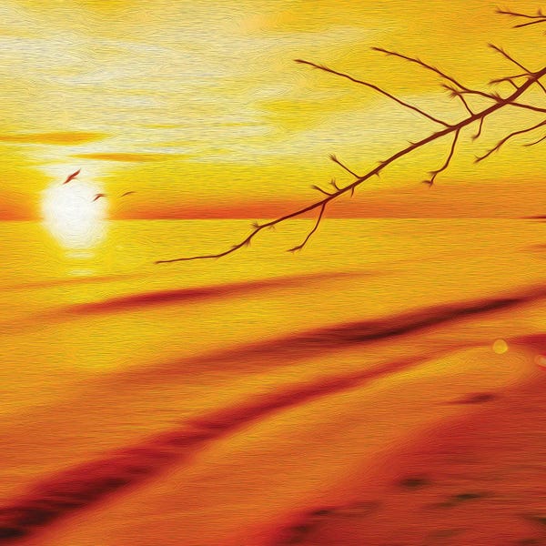 The First Sun