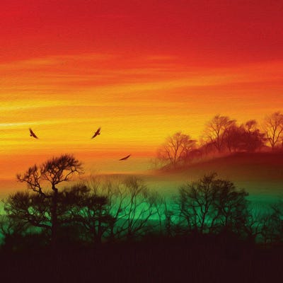 Beautiful Landscape During Sunset by Ievgeniia Bidiuk framed wall art