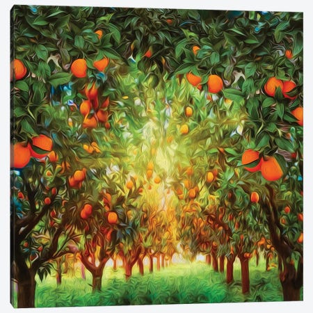 Orange Garden Canvas Print #IVG207} by Ievgeniia Bidiuk Canvas Print