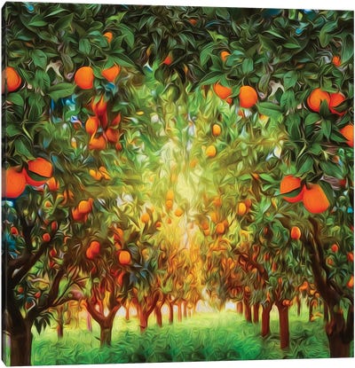 Orange Garden Canvas Art Print - Ievgeniia Bidiuk