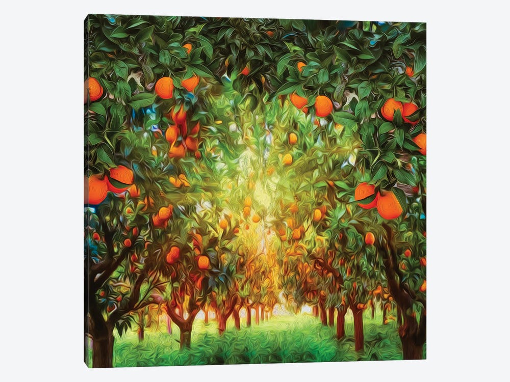 Orange Garden by Ievgeniia Bidiuk 1-piece Canvas Art