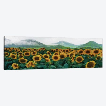 Sunflowers Field On The Background Of Mountain Hills Canvas Print #IVG208} by Ievgeniia Bidiuk Canvas Wall Art