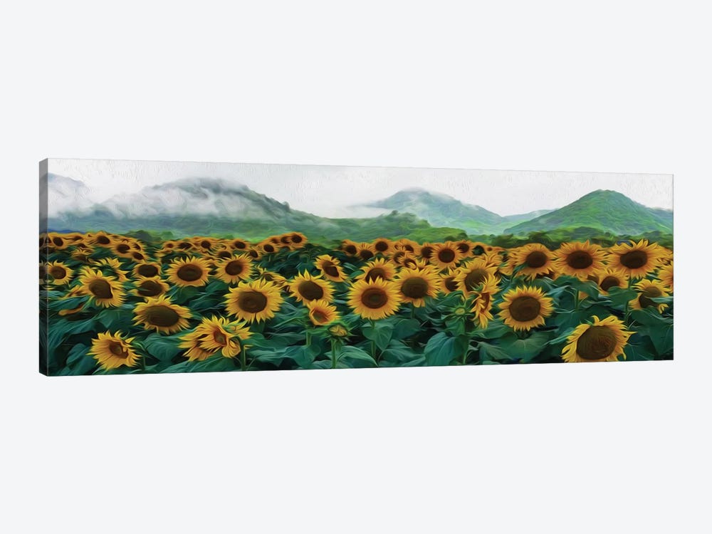 Sunflowers Field On The Background Of Mountain Hills by Ievgeniia Bidiuk 1-piece Canvas Art Print