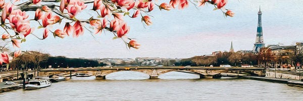 Magnolias: Blooming Magnolia Over Paris by Ievgeniia Bidiuk