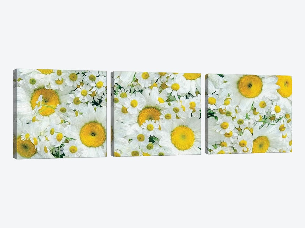 Background From Large And Small Daisies by Ievgeniia Bidiuk 3-piece Art Print
