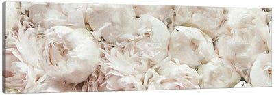 White Terry Peonies Canvas Art Print - Artists From Ukraine