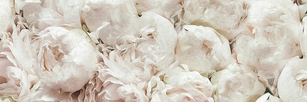 Nature Close-Ups: White Terry Peonies by Ievgeniia Bidiuk