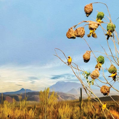 Weavers Birds Nest On A Tree Branch by Ievgeniia Bidiuk art print