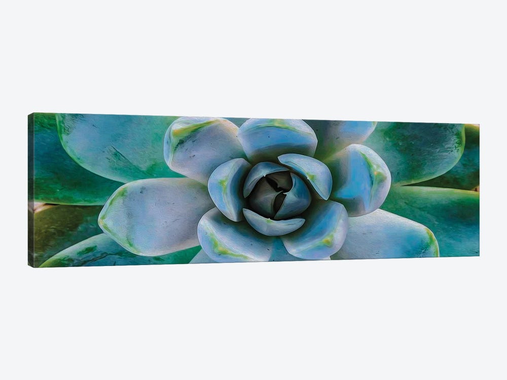 Succulent Plant Close Up by Ievgeniia Bidiuk 1-piece Art Print