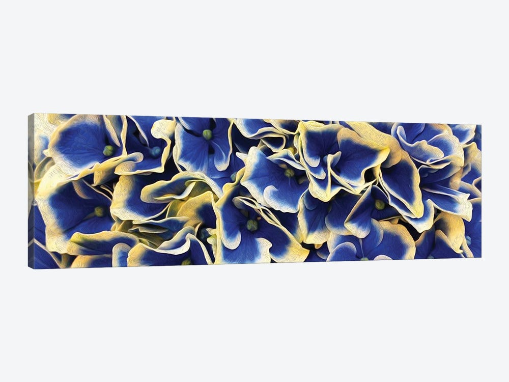 Horizontal Background From Flowers Of Large Leaved Hydrangea by Ievgeniia Bidiuk 1-piece Canvas Artwork
